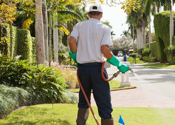About Anthony TX Pest Control